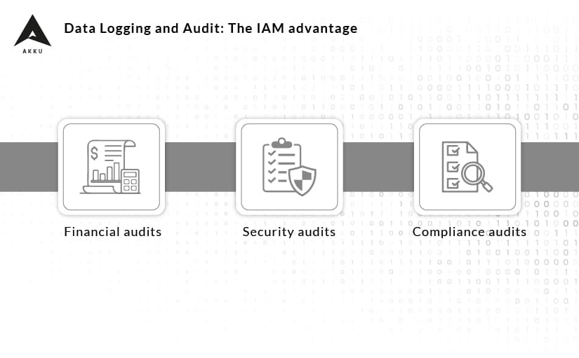 Data Logging and Audit: The IAM advantage